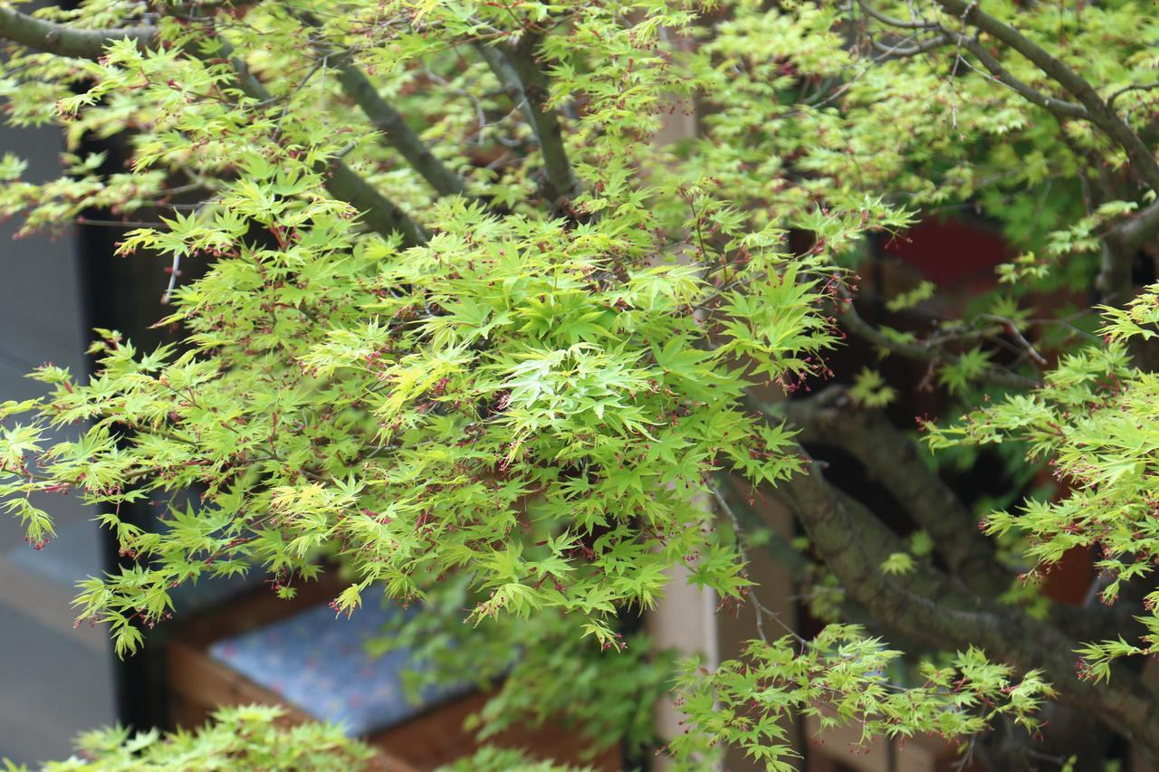 Okaya Ryokan Okitsu エクステリア 写真