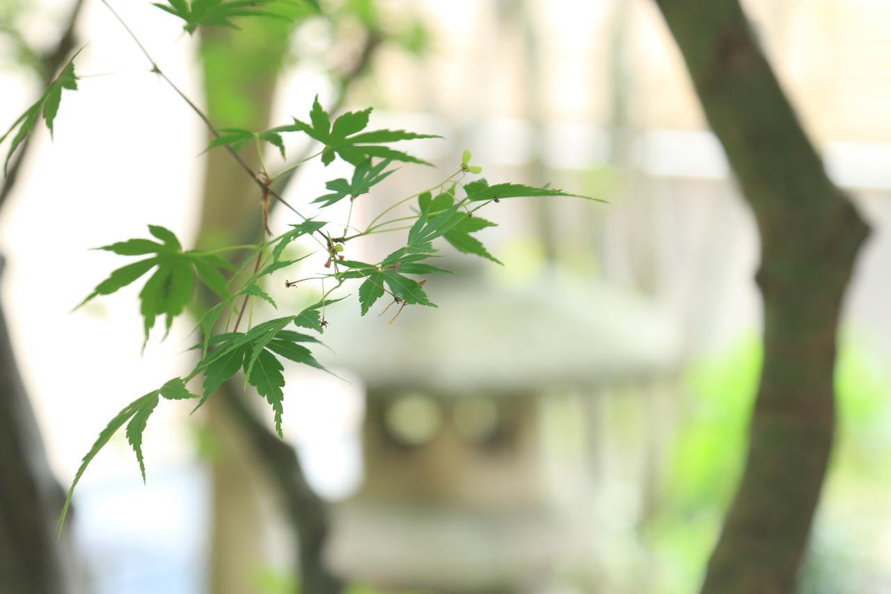 Okaya Ryokan Okitsu エクステリア 写真